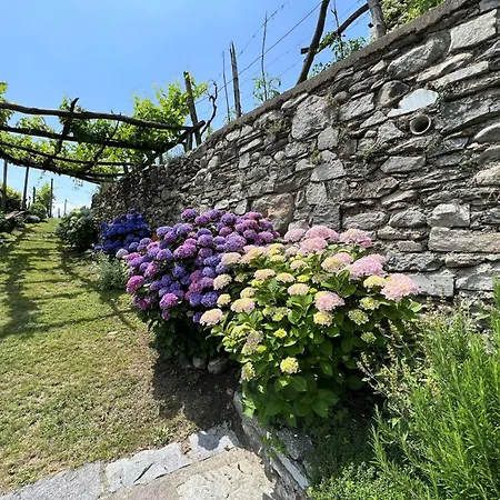Locazione Turistica Nonna Nina